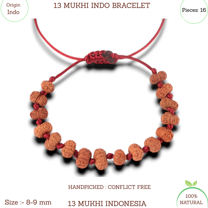 13 Mukhi Indonesian Rudraksha Bracelet
