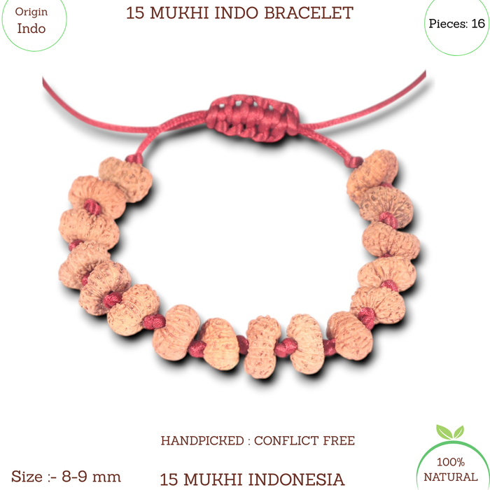 15 Mukhi Indonesian Rudraksha Bracelet