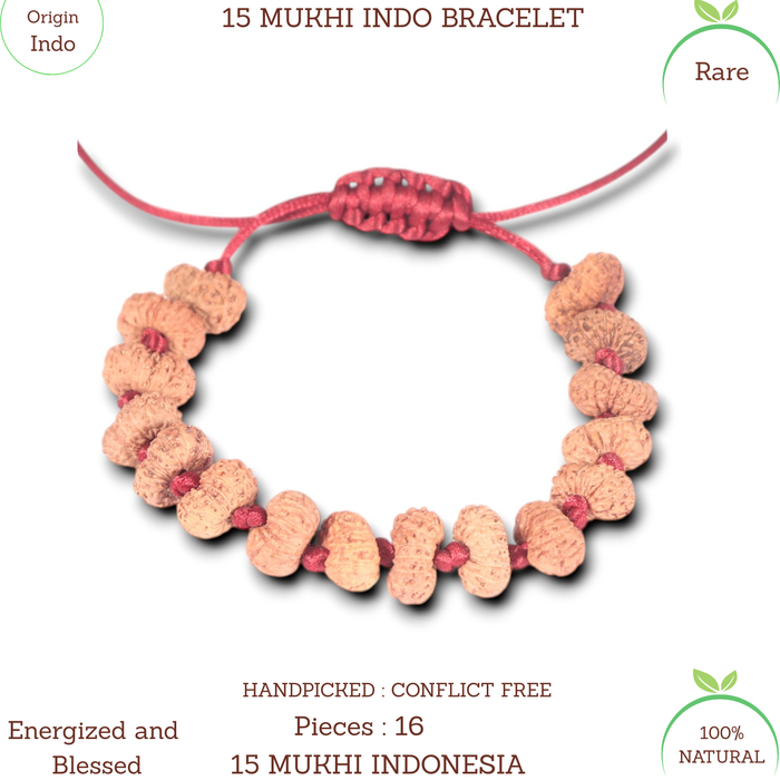 15 Mukhi Indonesian Rudraksha Bracelet