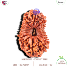 Load image into Gallery viewer, 17 Mukhi Nepalese Rudraksha - Bead No. 69
