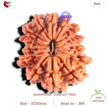 Load image into Gallery viewer, 14 Mukhi Nepalese Rudraksha - Bead No. 394
