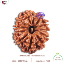 Load image into Gallery viewer, 11 Mukhi Nepalese Rudraksha - Bead No. 432
