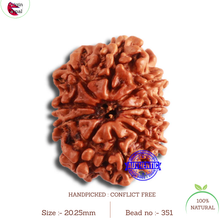 Load image into Gallery viewer, 10 Mukhi Nepalese Rudraksha - Bead No 351

