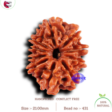 Load image into Gallery viewer, 10 Mukhi Nepalese Rudraksha - Bead No. 431
