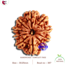 Load image into Gallery viewer, 10 Mukhi Nepalese Rudraksha - Bead No. 387
