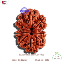 Load image into Gallery viewer, 10 Mukhi Nepalese Rudraksha - Bead No. 281
