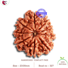 Load image into Gallery viewer, 9 Mukhi Nepalese Rudraksha - Bead No. 327
