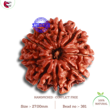 Load image into Gallery viewer, 9 Mukhi Nepalese Rudraksha - Bead No. 381
