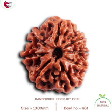 Load image into Gallery viewer, 8 Mukhi Nepalese Rudraksha - Bead No. 461
