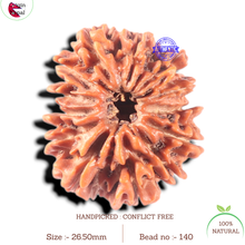 Load image into Gallery viewer, 13 Mukhi Nepalese Rudraksha - Bead No. 140

