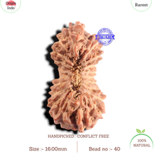 Load image into Gallery viewer, 20 Mukhi Indonesian Rudraksha - Bead 40
