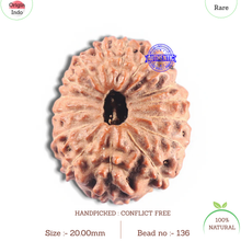 Load image into Gallery viewer, 15 Mukhi Indonesian Rudraksha - Bead No. 136
