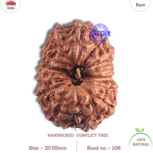 Load image into Gallery viewer, 15 Mukhi Indonesian Rudraksha - Bead No. 106
