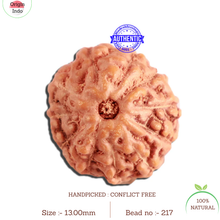 Load image into Gallery viewer, 11 Mukhi Indonesian Rudraksha - Bead No. 217
