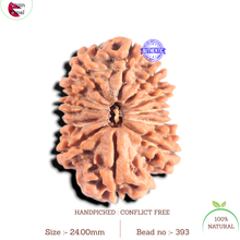 Load image into Gallery viewer, 12 Mukhi Nepalese Rudraksha - Bead No 396
