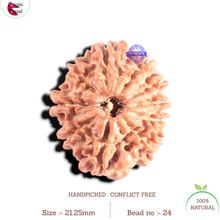 Load image into Gallery viewer, 10 Mukhi Nepalese Rudraksha - Bead No 24

