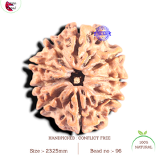Load image into Gallery viewer, 9 Mukhi Nepalese Rudraksha - Bead No. 96
