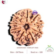 Load image into Gallery viewer, 9 Mukhi Nepalese Rudraksha - Bead No. 128
