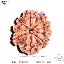 Load image into Gallery viewer, 9 Mukhi Nepalese Rudraksha - Bead No. 322
