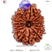 Load image into Gallery viewer, 16 Mukhi Rudraksha from Nepal - Bead No. 70
