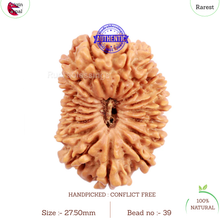 Load image into Gallery viewer, 17 Mukhi Nepalese Rudraksha - Bead No. 39
