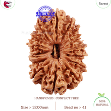 Load image into Gallery viewer, 17 Mukhi Nepalese Rudraksha - Bead No. 41
