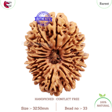 Load image into Gallery viewer, 17 Mukhi Nepalese Rudraksha - Bead No. 33
