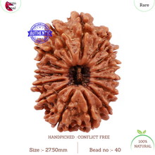 Load image into Gallery viewer, 15 Mukhi Rudraksha from Nepal - Bead No. 40
