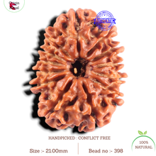 Load image into Gallery viewer, 13 Mukhi Nepalese Rudraksha - Bead No. 398
