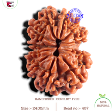 Load image into Gallery viewer, 12 Mukhi Nepalese Rudraksha - Bead No 407
