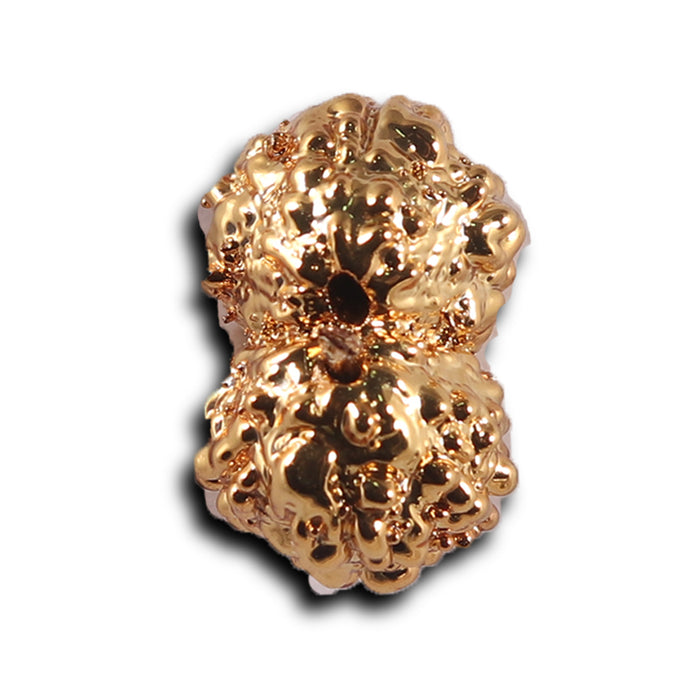 Gaurishanker Rudraksha from Indonesia -251