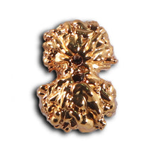 Load image into Gallery viewer, Gaurishanker Rudraksha from Indonesia -253
