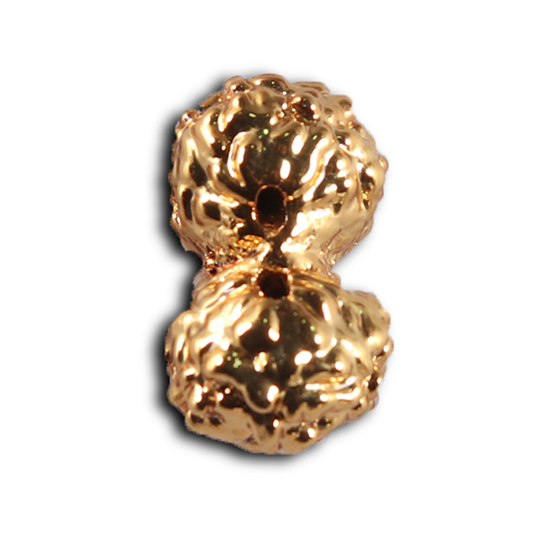 Gaurishanker Rudraksha from Indonesia -254