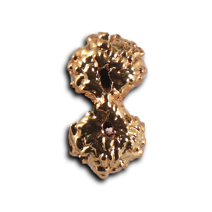 Gaurishanker Rudraksha from Indonesia - 250