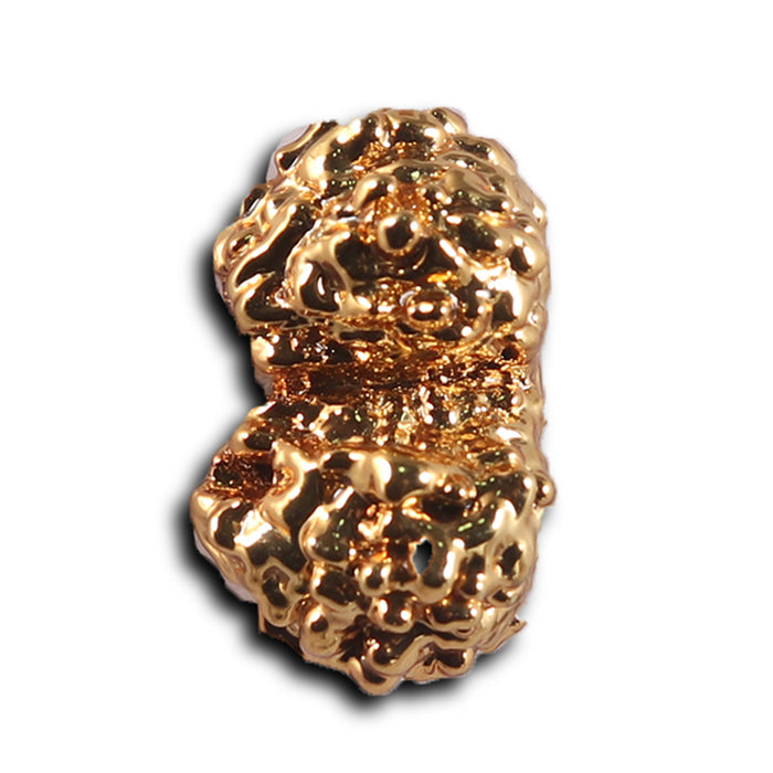 Gaurishanker Rudraksha from Indonesia - 250