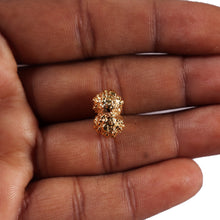 Load image into Gallery viewer, Gaurishanker Rudraksha from Indonesia -251
