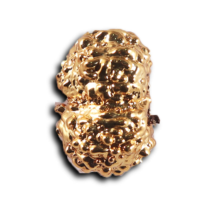 Gaurishanker Rudraksha from Indonesia -251