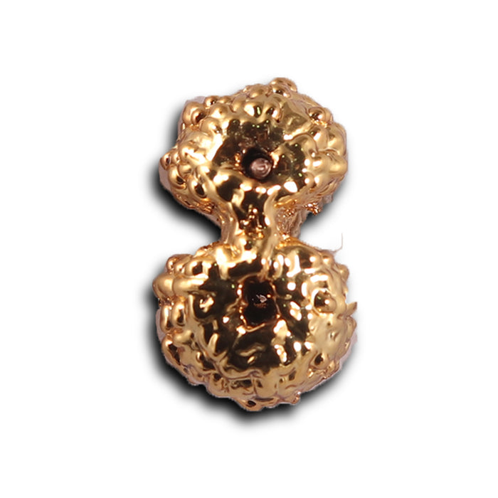 Gaurishanker Rudraksha from Indonesia -252