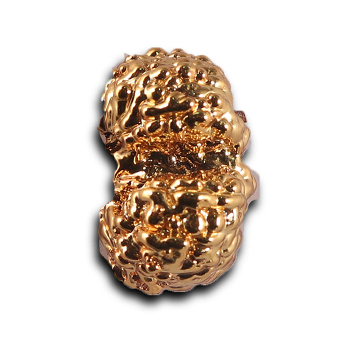 Gaurishanker Rudraksha from Indonesia -252