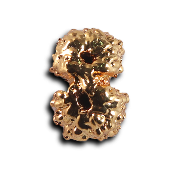 Gaurishanker Rudraksha from Indonesia -253