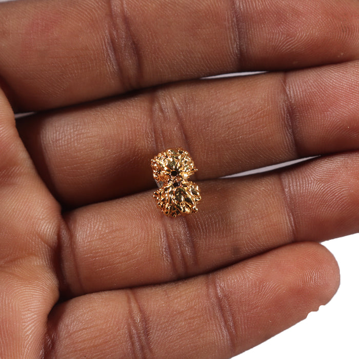 Gaurishanker Rudraksha from Indonesia -253