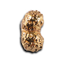 Load image into Gallery viewer, Gaurishanker Rudraksha from Indonesia -254
