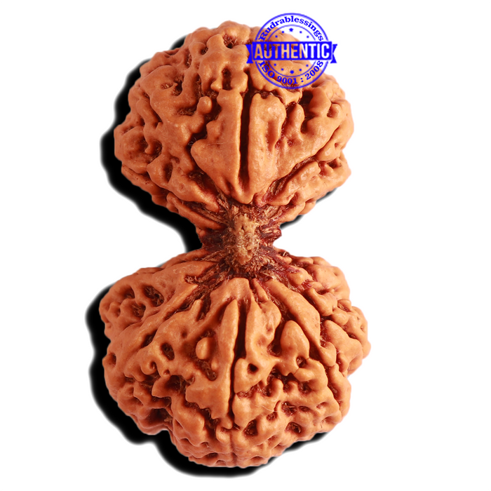 Gaurishankar Rudraksha with Ganesha  - Bead No. 213
