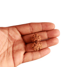 Load image into Gallery viewer, Gaurishankar Rudraksha with Ganesha  - Bead No. 216
