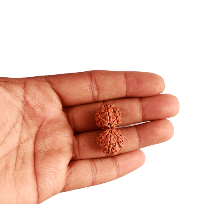 Gaurishankar Rudraksha with Ganesha  - Bead No. 217