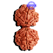 Load image into Gallery viewer, Gaurishankar Rudraksha with Ganesha  - Bead No. 217
