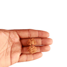 Load image into Gallery viewer, Gaurishankar Rudraksha with Ganesha  - Bead No. 234
