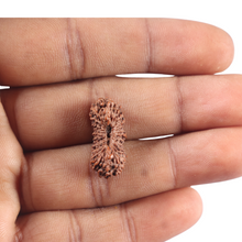 Load image into Gallery viewer, 25 Mukhi Rudraksha from Indonesia Bead No. E
