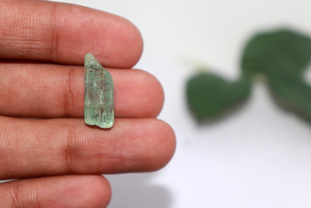 Emerald / Panna - 108