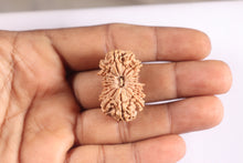 Load image into Gallery viewer, 18 Mukhi Ganesh Rudraksha from Nepal - Bead No. 61
